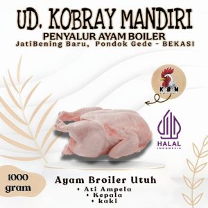 Panduan Lengkap Cara Mencari Supplier Ayam Potong Termurah Dan Berkualitas Untuk Usaha Kuliner